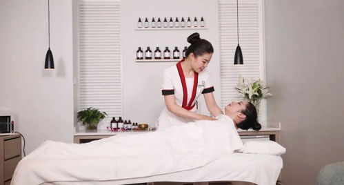 美容师国家职业等级认定教材拍摄圆满收官 技术标准与服务规范的视觉诠释