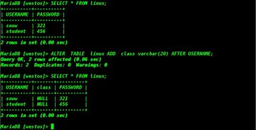 MySQL数据库运维管理 核心策略与实践方法