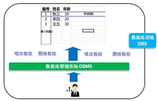 从事务到数据湖 珠峰架构师的数据库管理与进阶之路